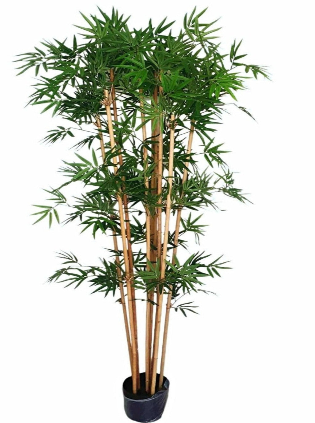 Artificial Japanese Bamboo (160cm) - PTR0134 – S.K Optimus